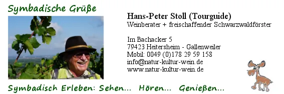 HP. Stoll